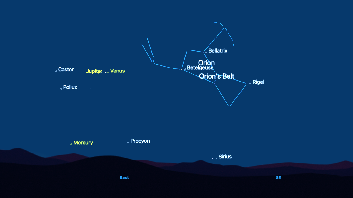 night sky graphic showing sirius close to the SE horizon above is orion constellation with Venus on the left, Jupiter to the left of Venus and Mercury to the lower left of the duo.