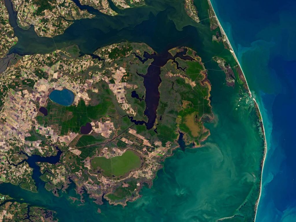 'Ghost forests' are invading the North Carolina coast