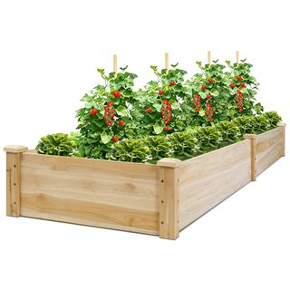 raised beds from walmart
