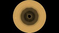 a yellow-brown orb with a ten-sided brown splotch in its center