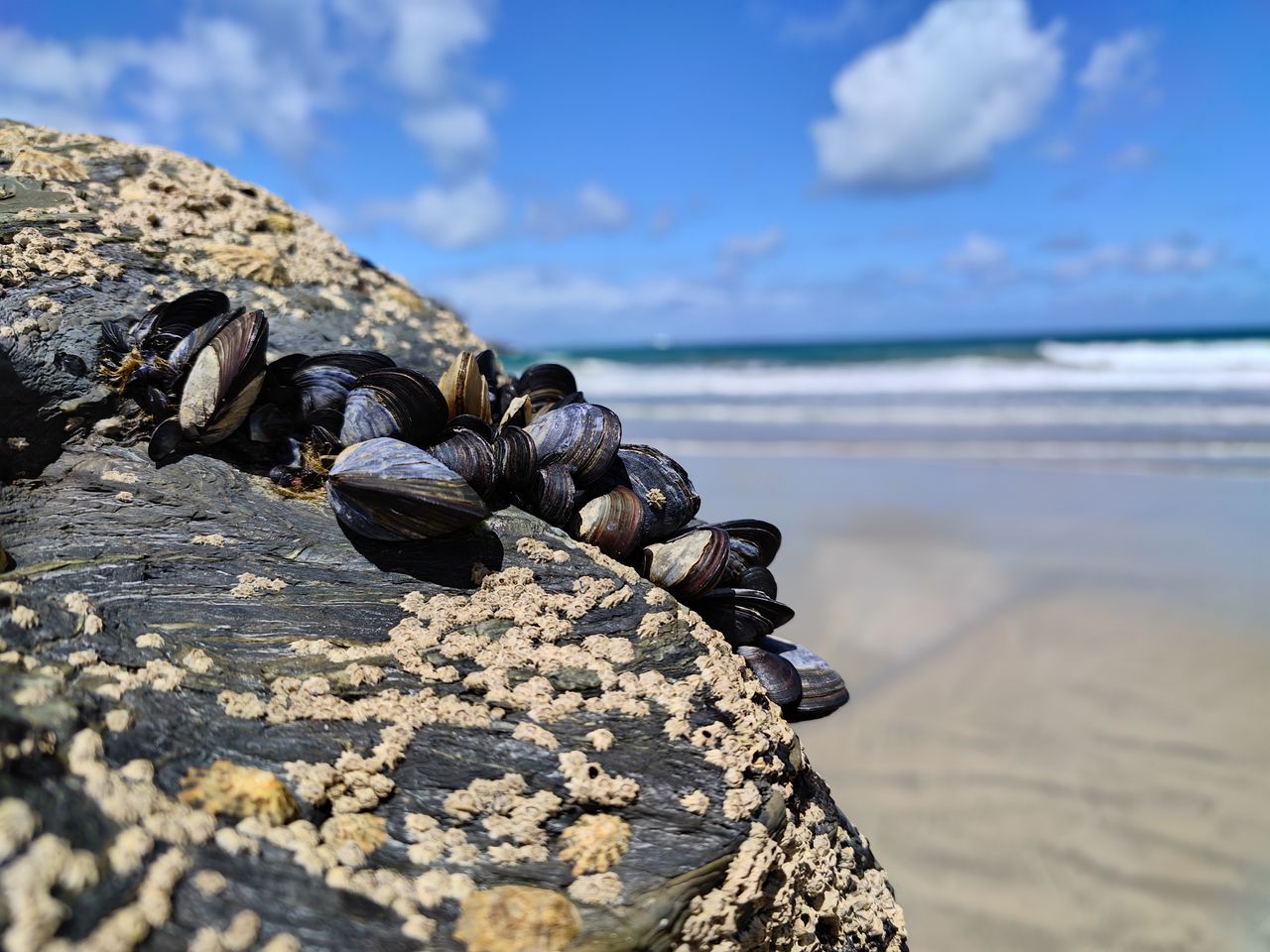 Nubia Red Magic 9S Pro camera samples