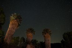 Quitobaquito, desert oasis