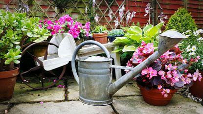 metal watering can in garden