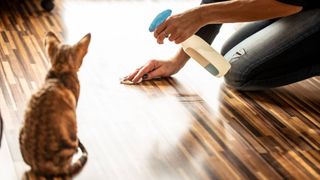 cleaning cat pee from floor