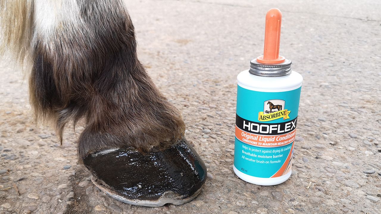 Absorbine Hooflex Original immediately after application