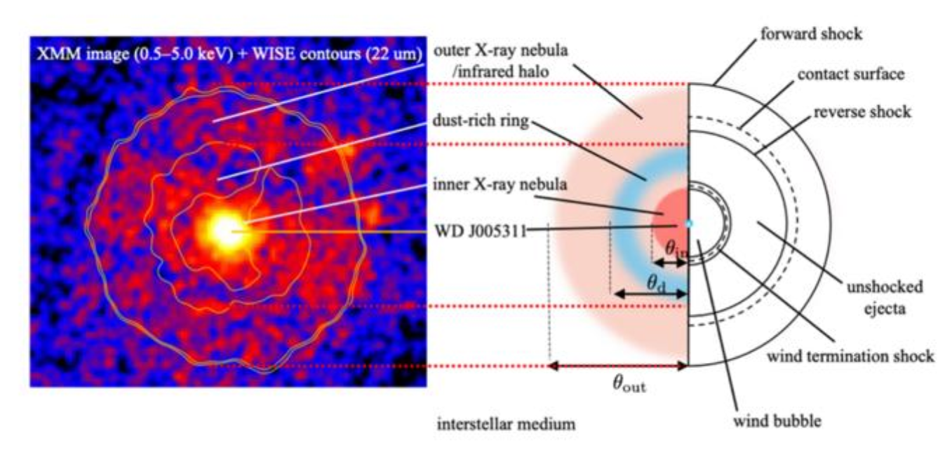 Diagram showing the two shock wave regions of the remnant SNR 1181. The bright white area in the center is the white dwarf star.