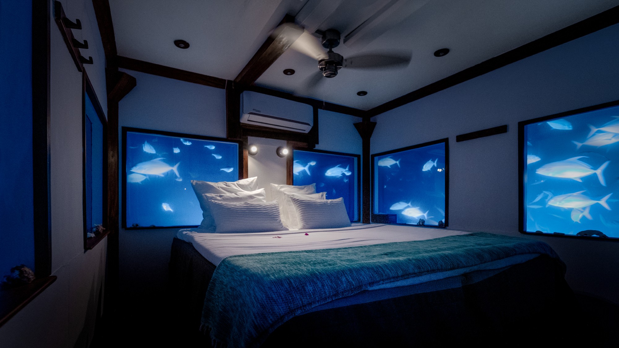 Fish surround the Underwater Room bedroom at Manta Resort Pemba Island