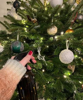 A hand spraying an amber glass bottle of cleaning spray onto a green natural Christmas tree with green and white baubles