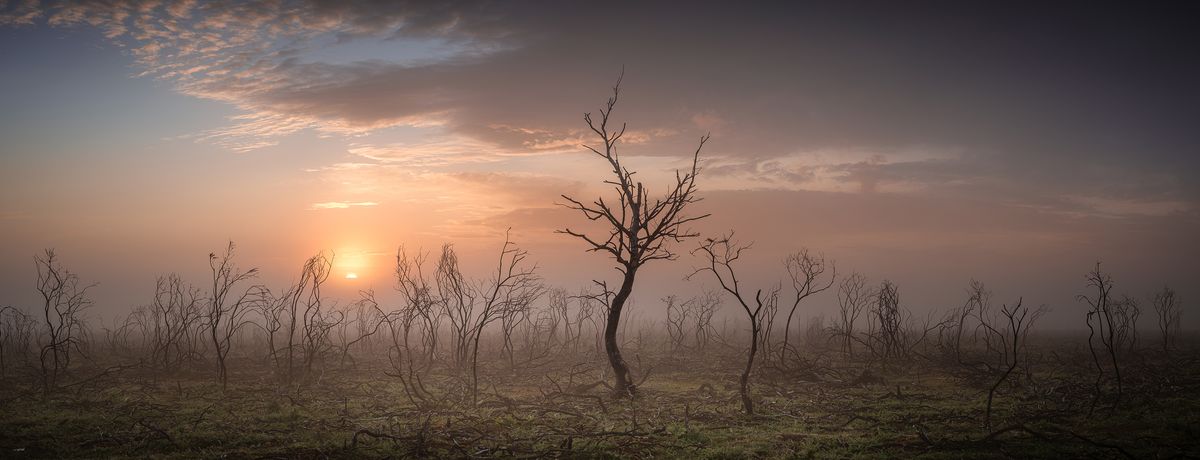 Landscape Photographer of the Year