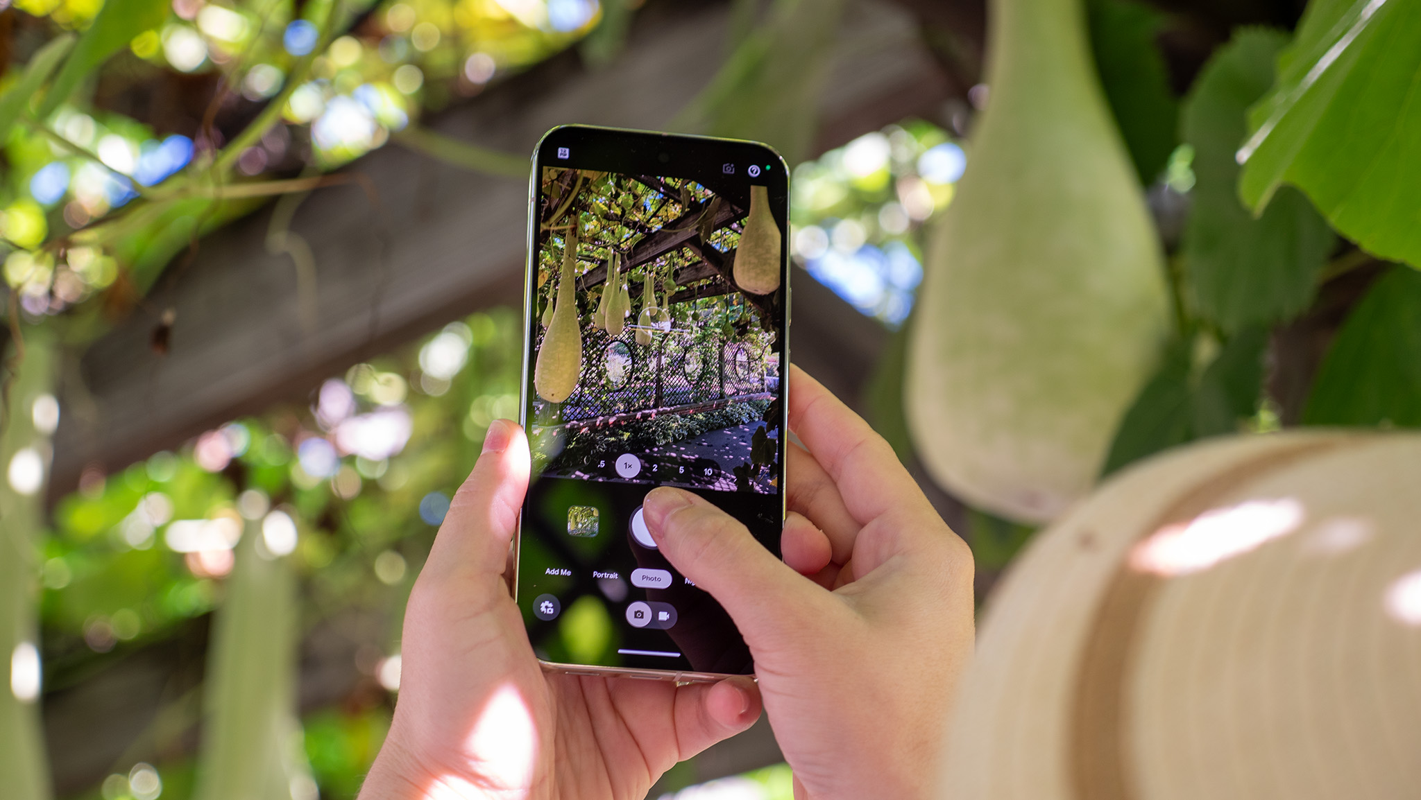 Using a Google Pixel 10 Pro XL to take a photo of hanging gourds