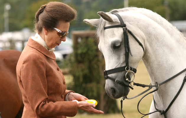 NPS NATIONAL PONY SOCIETY CHAMPIONSHIPS MALVERN 2010