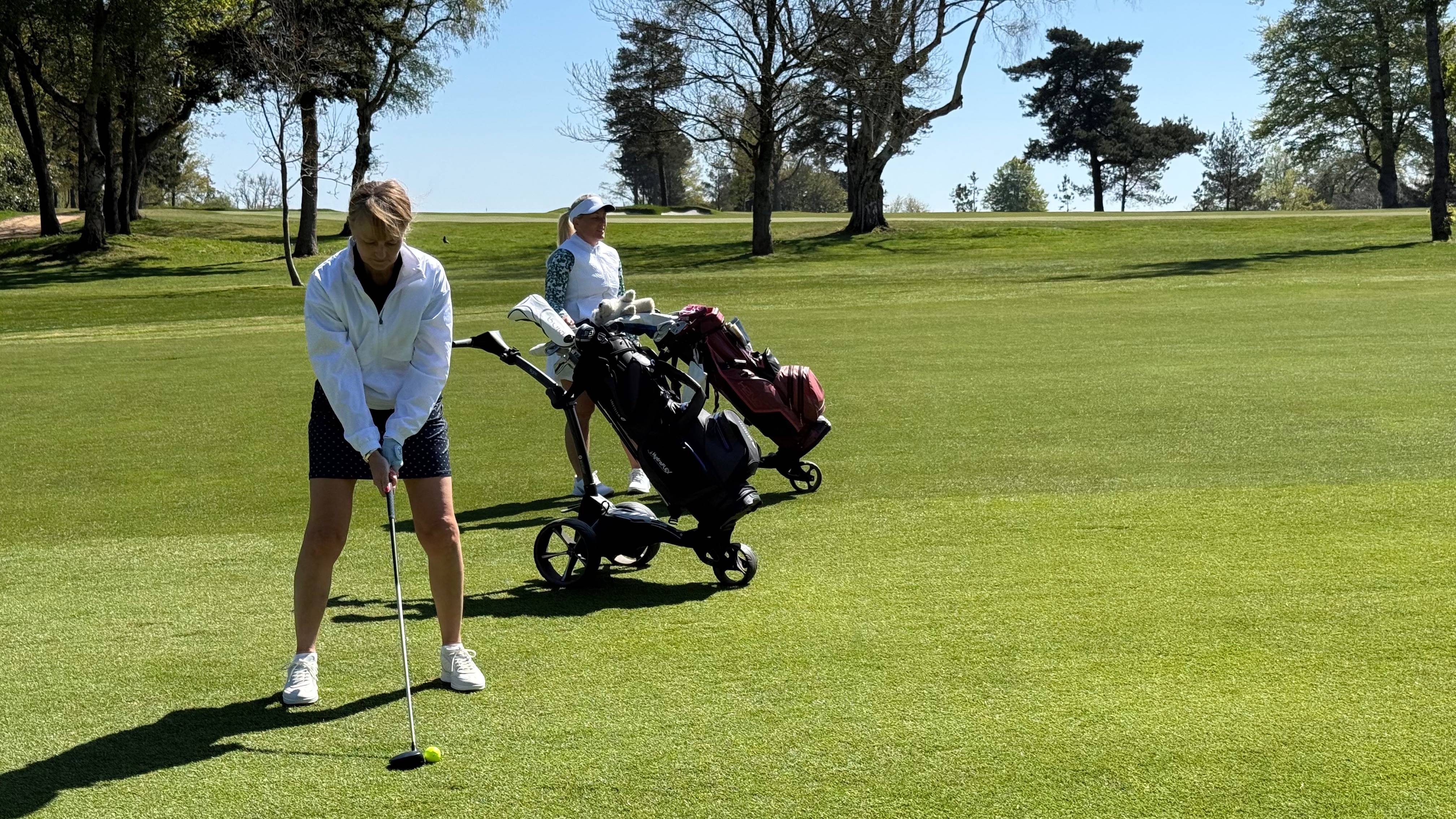 Alison Root addressing the ball with a fairway wood