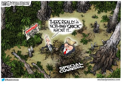 Political cartoon U.S. Trump Russia investigation special counsel