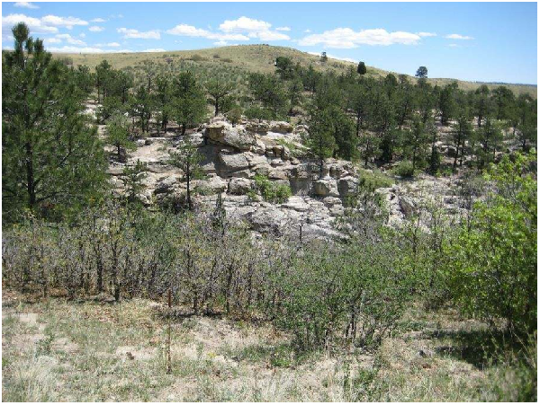Hogback Ridge in Ute Valley Park (courtesy of the City of Colorado Springs)