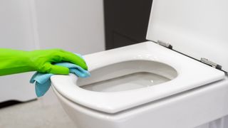 Cleaning toilet seat