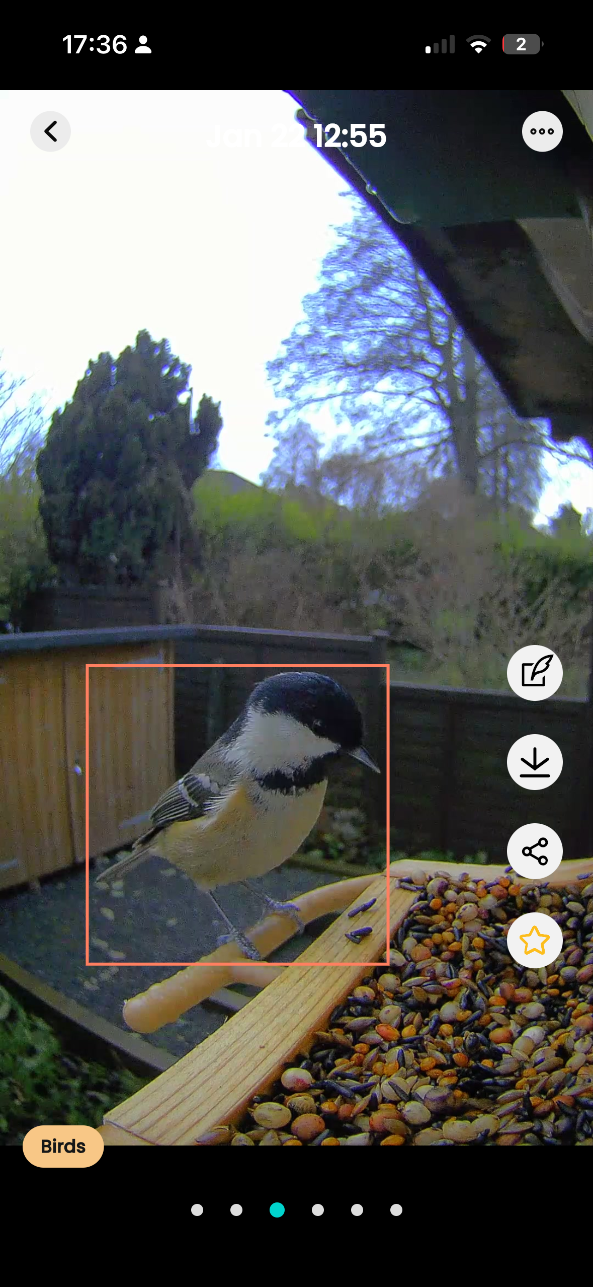 Screenshot from the Birdfy app