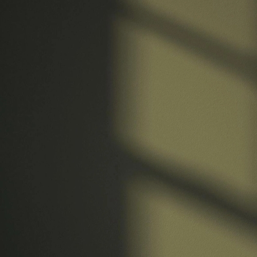 Lick, Green 05: Rome House - Olive Green Paint | Lick X Soho House