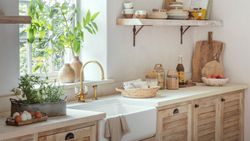 Why is my refrigerator leaking water inside? Experts advise | Homes and