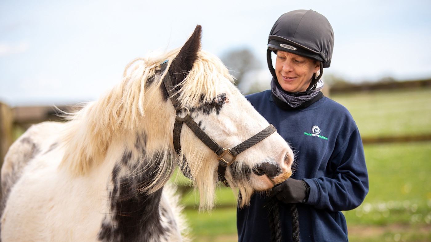 A groom with pony at World Horse Welfare&rsquo;s Hall Farm.