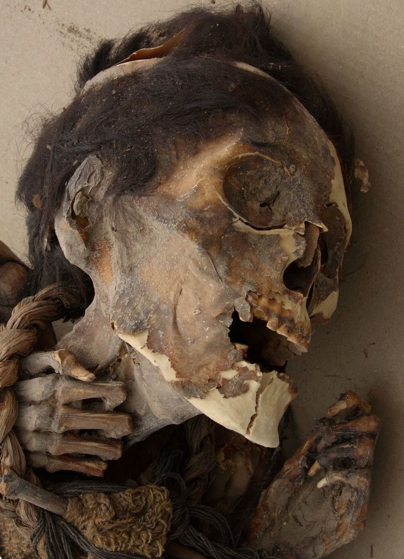 chilean mummy face