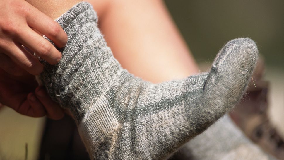 Wool vs cotton socks which is best for outdoor adventures? Advnture