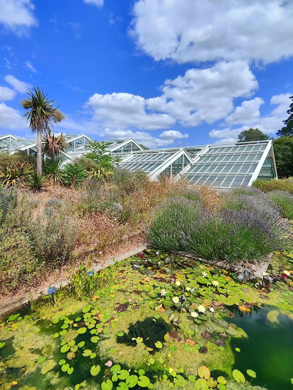 Sample image taken at Kew Gardens using the Rokid AI Glasses Style