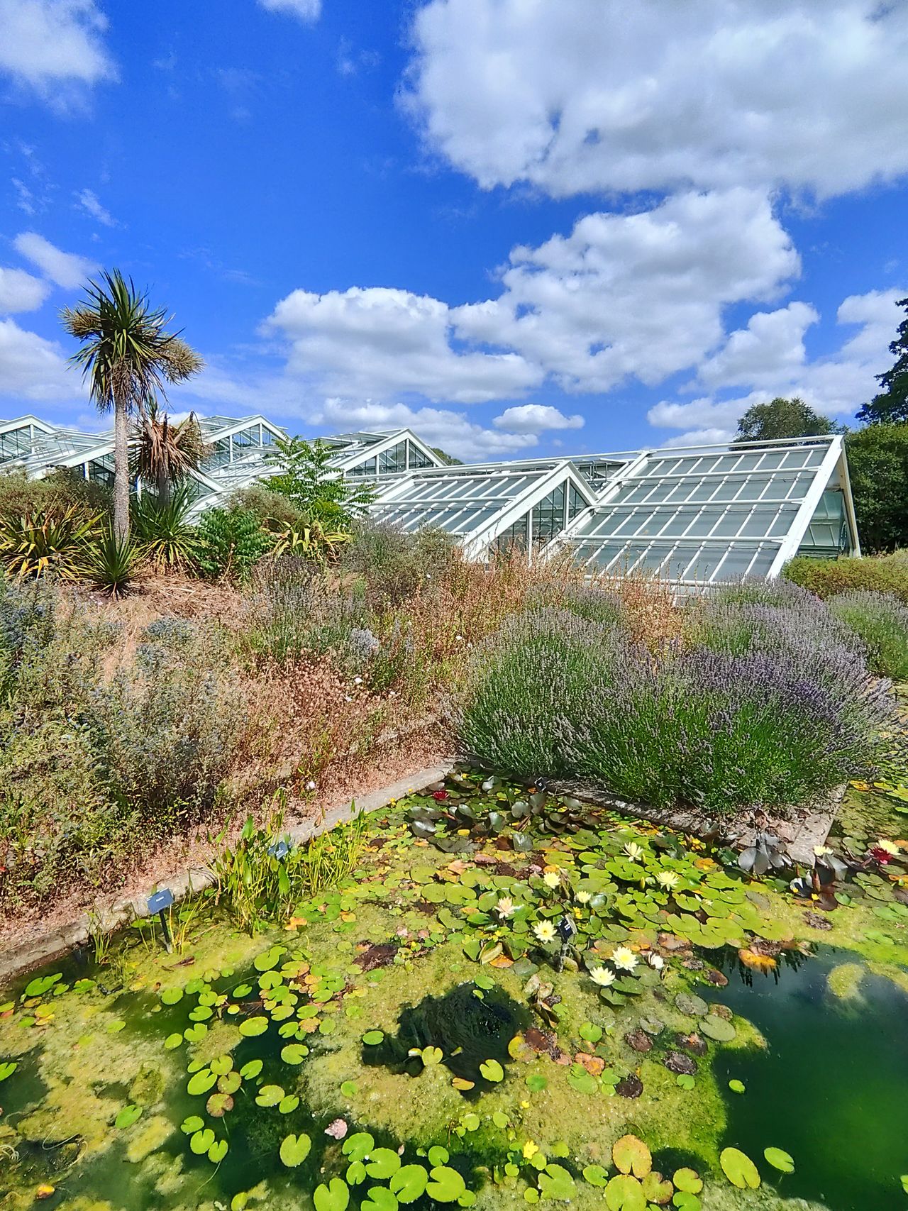 Sample image taken at Kew Gardens using the Rokid AI Glasses Style