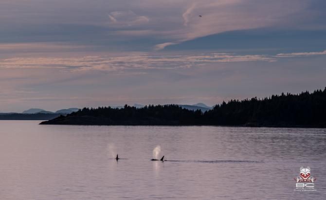 It was a glassy day on the water.