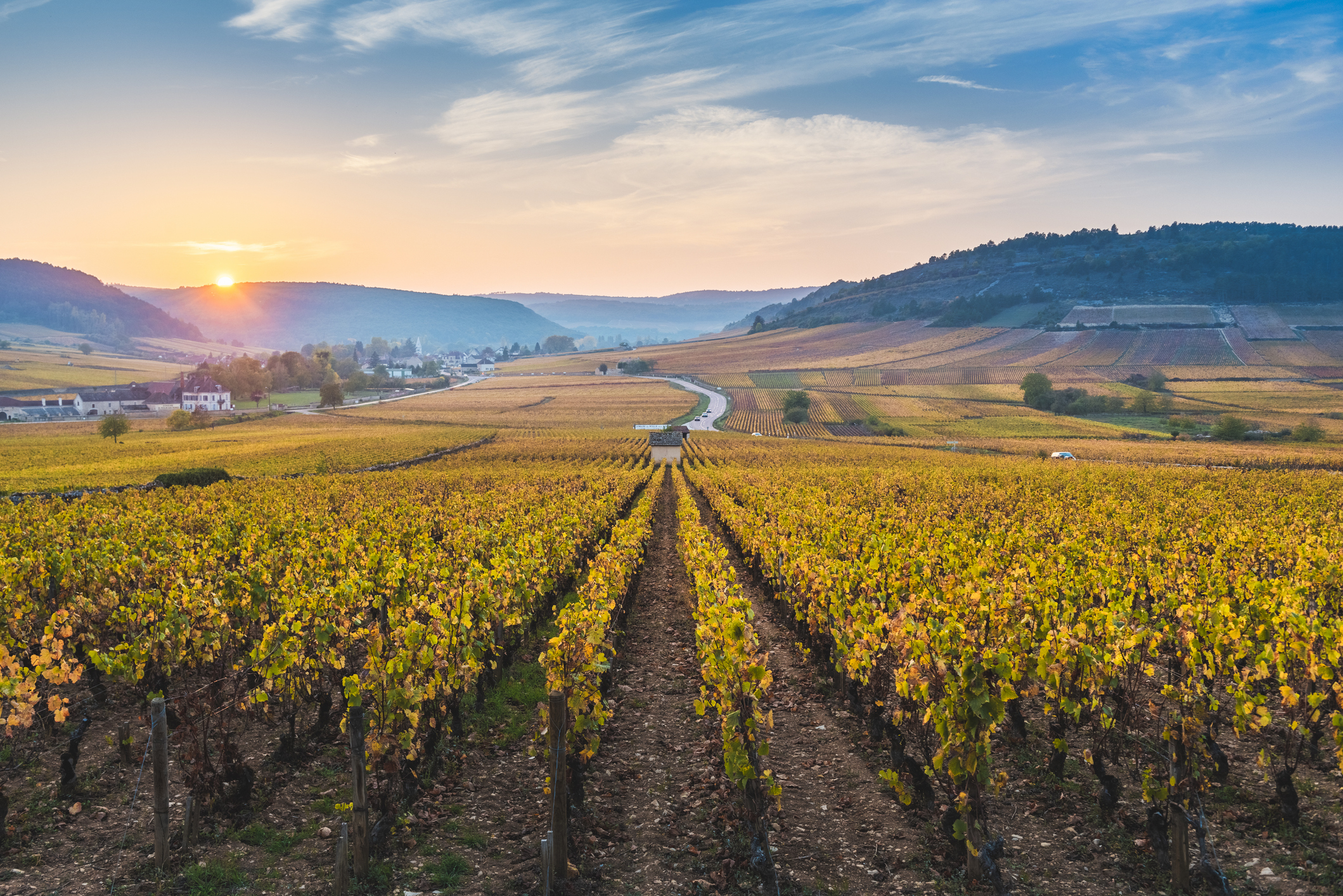 France, Bourgogne-Franche-Comte, Burgundy, Cote-d'Or, Cote de Beaune vineyards.