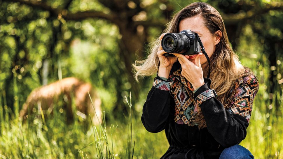 Best lenses for the Canon EOS R6 in 2024 Digital Camera World