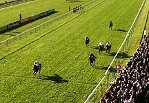 Toby-Coles-racing.JPG