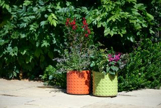 colourful pots from woodlodge