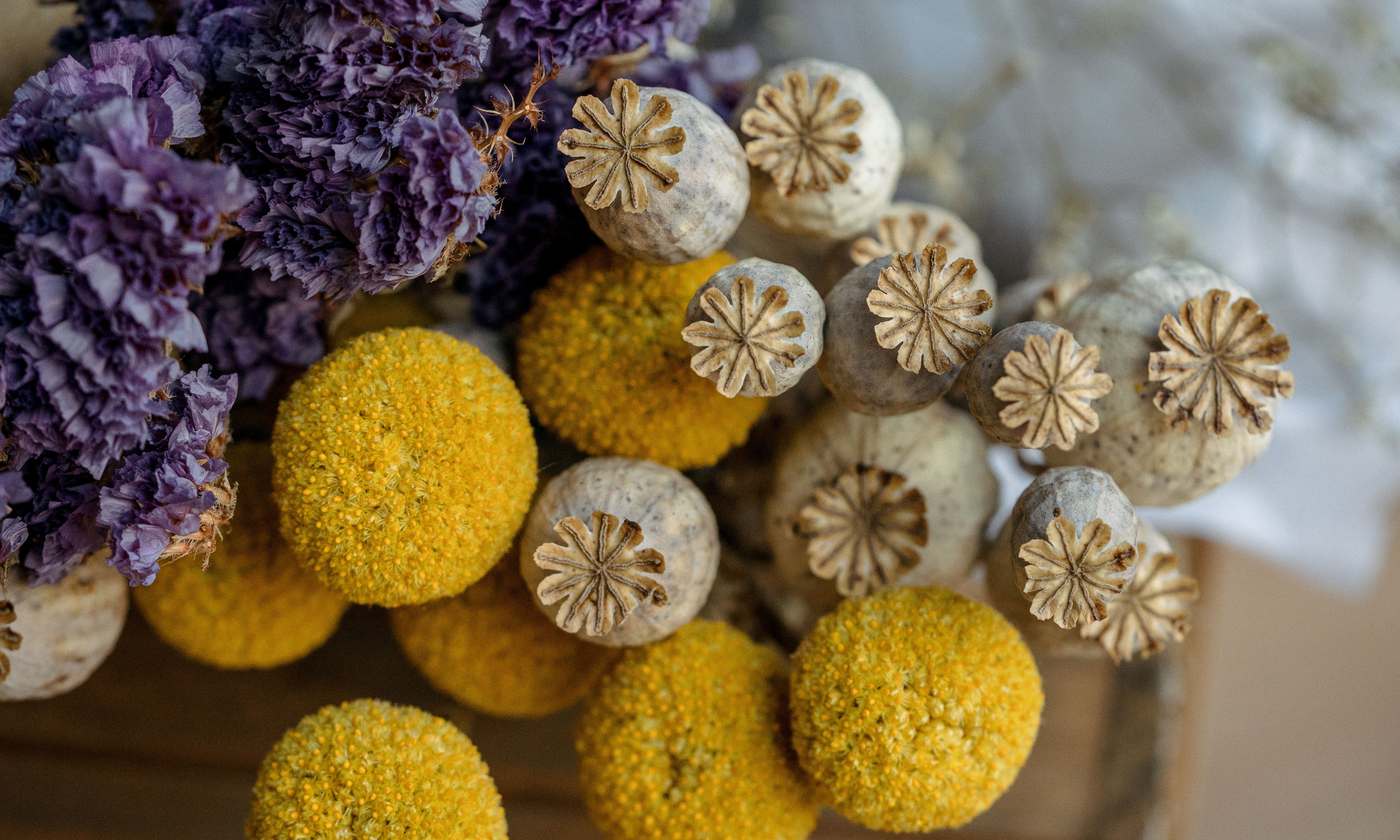Close up of dried purple statice, yellow craspedia and poppy seed pods