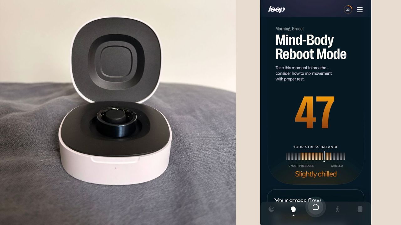 Leep ring in charging case