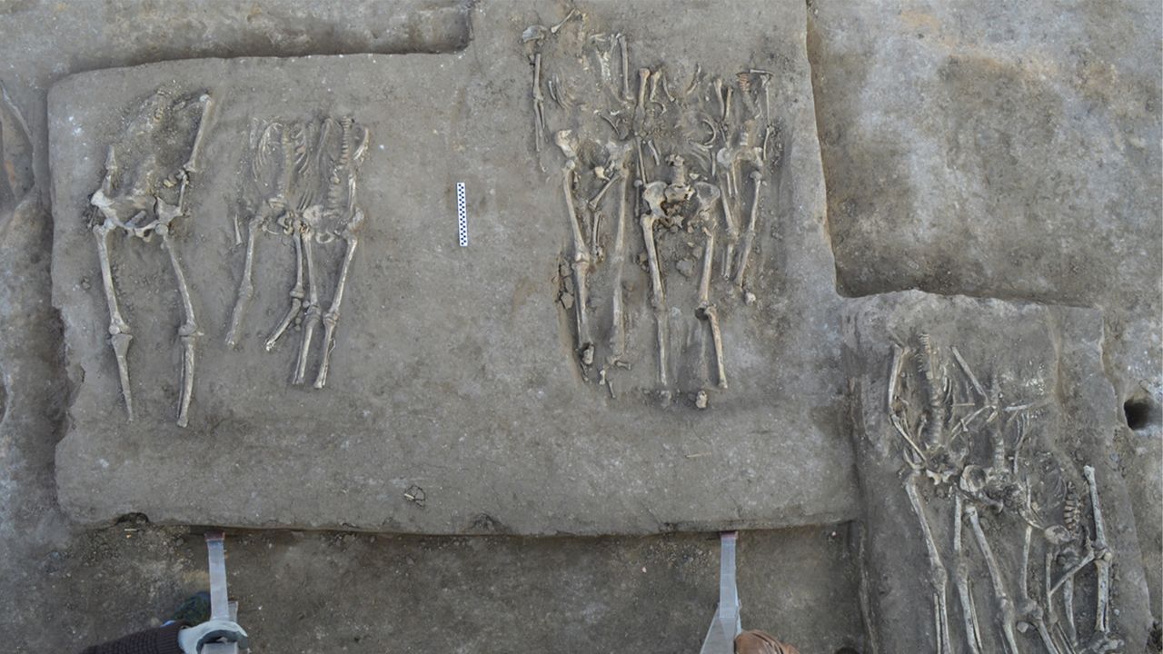 A mass grave with headless skeletons at Honghe in Heilongjiang province, China.