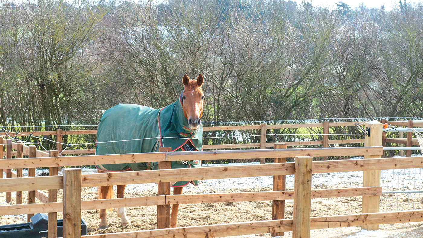 Sand turn out paddocks in the snow