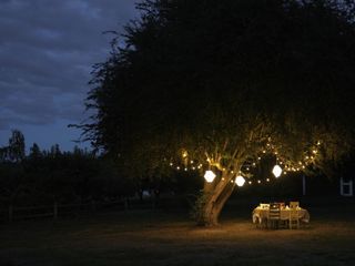 outdoor tree lighting ideas: tree lit up on grass with table and chairs