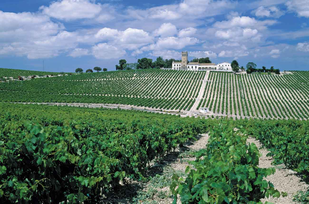 DEC280.greatest_vineyards.bvh_00405282_credit_reinhard_schmid_4corners.jpg