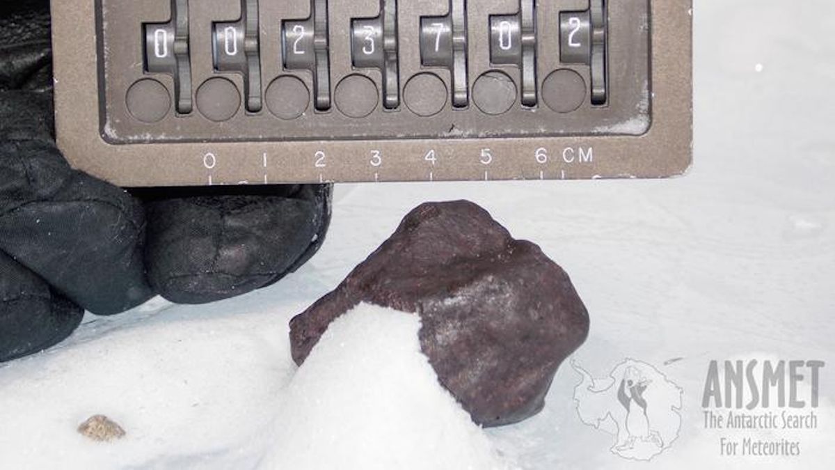 Earth may not have gotten its water how we thought, controversial meteorite study suggests