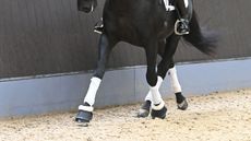 renvers-thumbnail.jpg