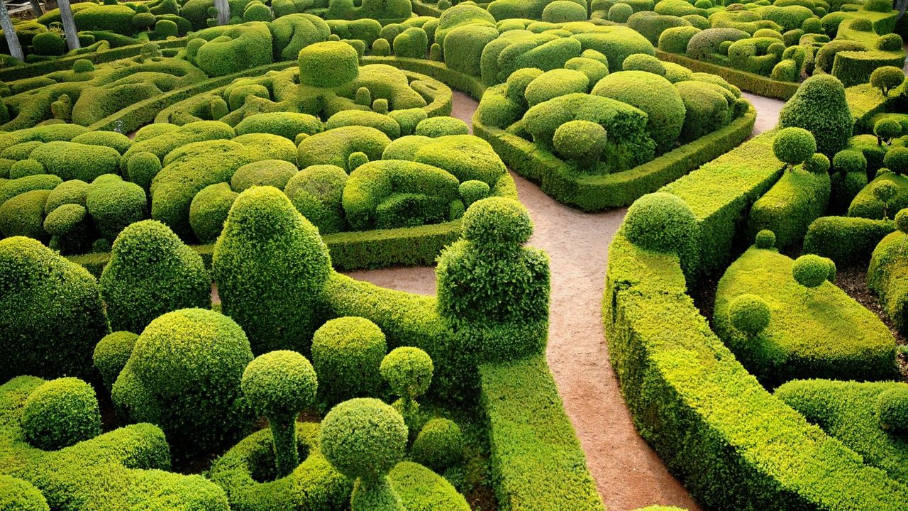 One of the world’s most beautiful gardens, France&#039;s Marqueyssac garden in the Dordogne