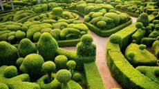 One of the world’s most beautiful gardens, France's Marqueyssac garden on the Dordogne.