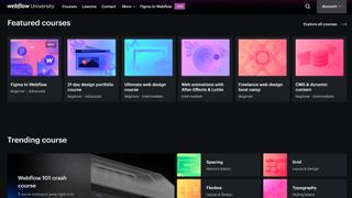 Webflow's University homepage, with featured and trending courses