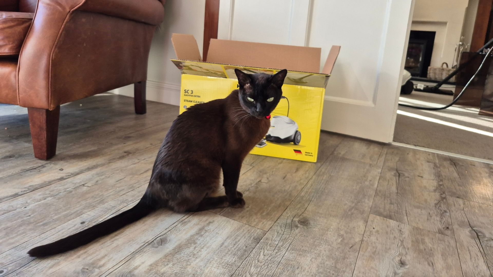 Testing the Karcher SC3 Steam Cleaner