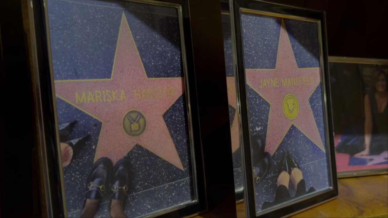 Screenshot of Hollywood Walk of Fame stars for Mariska Hargitay and Jayne Mansfield from My Mom Jayne