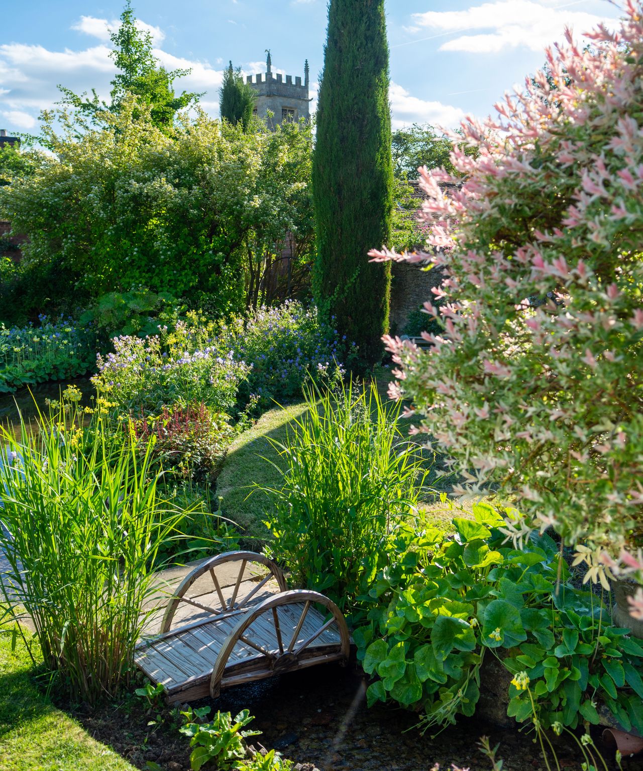 garden stream with small wooden bridge and marginal planting in an english garden