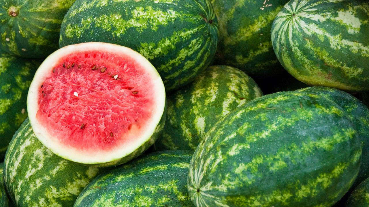 A cut watermelon on top of a watermelon harvest