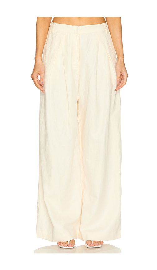 Wide Leg Pleat Pants