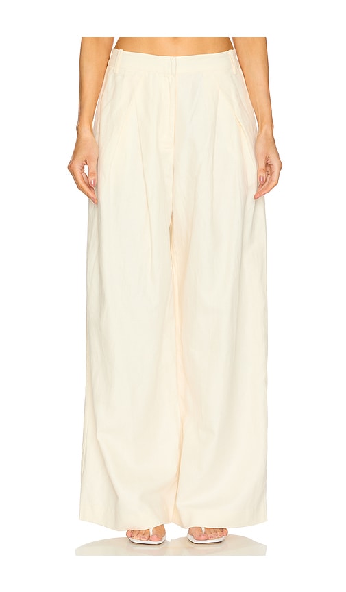 Wide Leg Pleat Pants