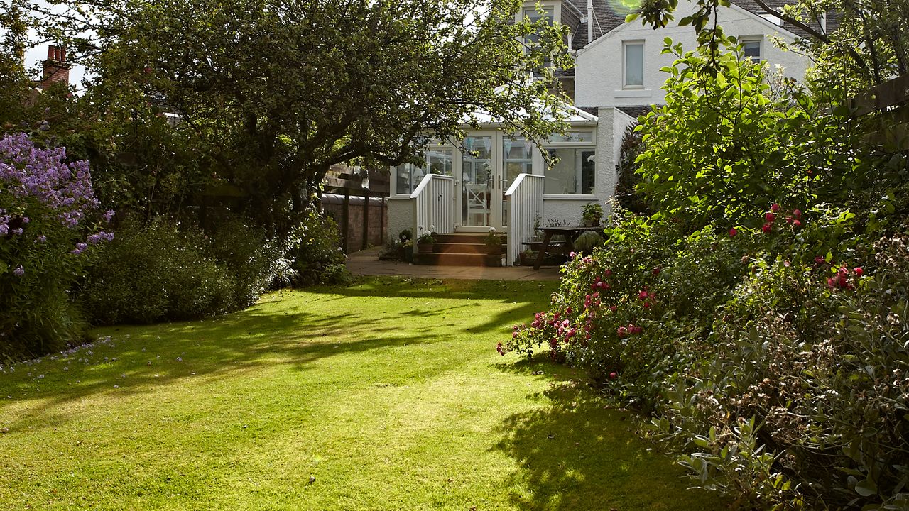 Back garden with lawn, trees and flower beds